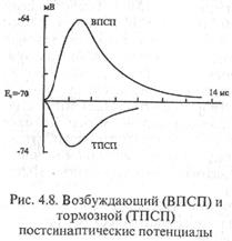 свойства нервных центров - student2.ru