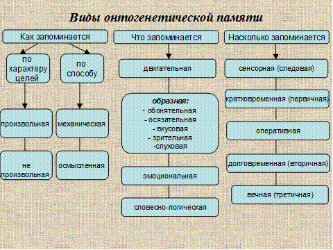 Свойства памяти: объем, быстрота запоминания и воспроизведения, прочность - student2.ru