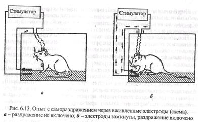 т2. эмоции (чувства) и их развитие в онтогенезе - student2.ru