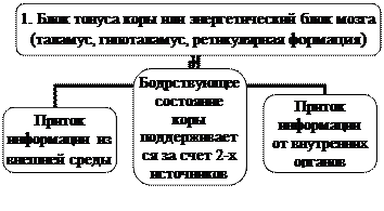 ТЕМА 14. Интегральная деятельность головного мозга - student2.ru