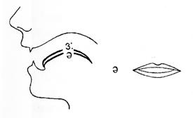 The Diagram on Vowel Sounds - student2.ru