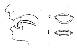 The Diagram on Vowel Sounds - student2.ru