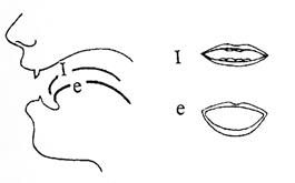 The Diagram on Vowel Sounds - student2.ru