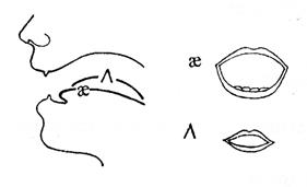 The Diagram on Vowel Sounds - student2.ru