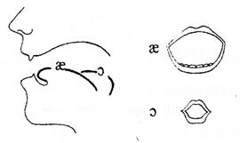 The Diagram on Vowel Sounds - student2.ru