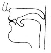 The Diagrams on Consonant Sounds - student2.ru