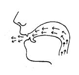 The Diagrams on Consonant Sounds - student2.ru