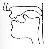 The Diagrams on Consonant Sounds - student2.ru