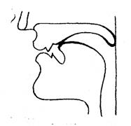 The Diagrams on Consonant Sounds - student2.ru