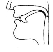 The Diagrams on Consonant Sounds - student2.ru