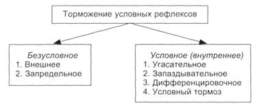 Торможение условных рефлексов - student2.ru