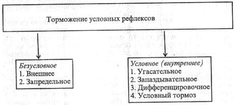торможение условных рефлексов - student2.ru