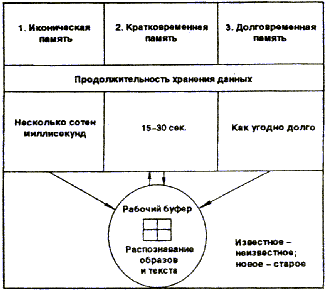 урок 2 . механизмы памяти - student2.ru