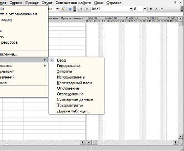 Виды таблиц в Microsoft Project - student2.ru