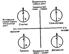 Эмоции и функциональная асимметрия мозга - student2.ru