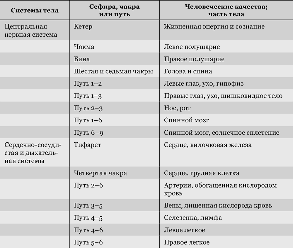 Йесод, девятая сефира: установление основ - student2.ru