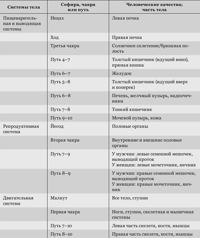 Йесод, девятая сефира: установление основ - student2.ru