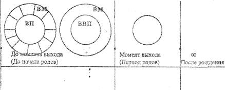 Закон состоит в следующем, что все элементы мира все частицы они соединяются друг с другом и при соединении растут - student2.ru