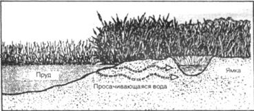 Животные как признак близости воды - student2.ru