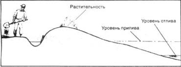 Животные как признак близости воды - student2.ru