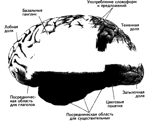 Значение слова с точки зрения психофизиологии - student2.ru