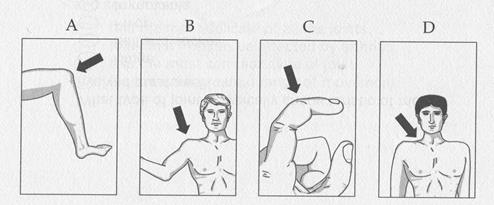 Example: laughter when she caught sight of - student2.ru