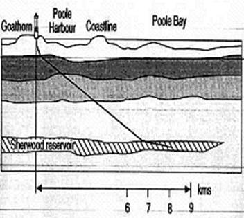 Intermediate and Reservoir Section - student2.ru