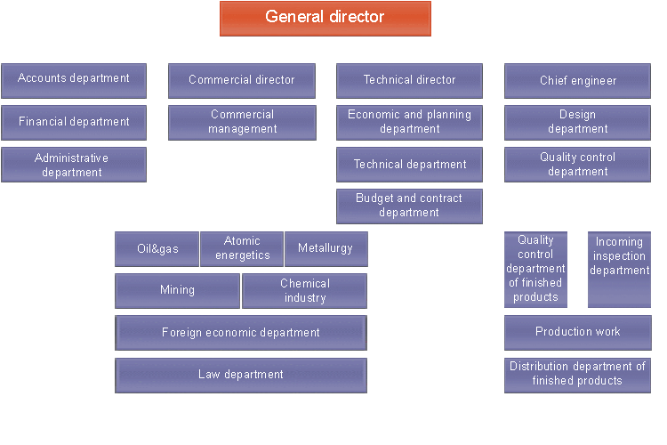 Make up a short description of the company structure according to the scheme. - student2.ru