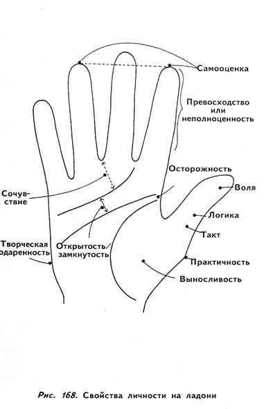 четырехугольник и большой треугольник - student2.ru