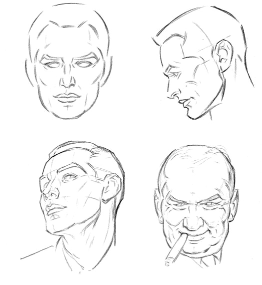 Различные типы и черты лица. - student2.ru
