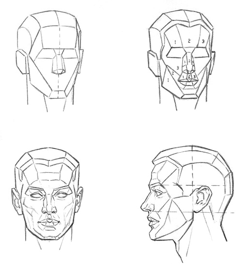 Движение головы на шееПостроение рисунка головы из частей - student2.ru