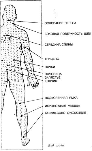 функциональные положения тела - student2.ru