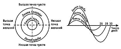 Глава XVIII. Превзойдя святость, возвратиться к обыденному - student2.ru