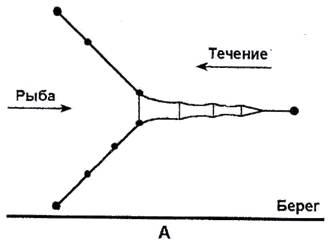 Iii. ловля рыболовными ловушками - student2.ru