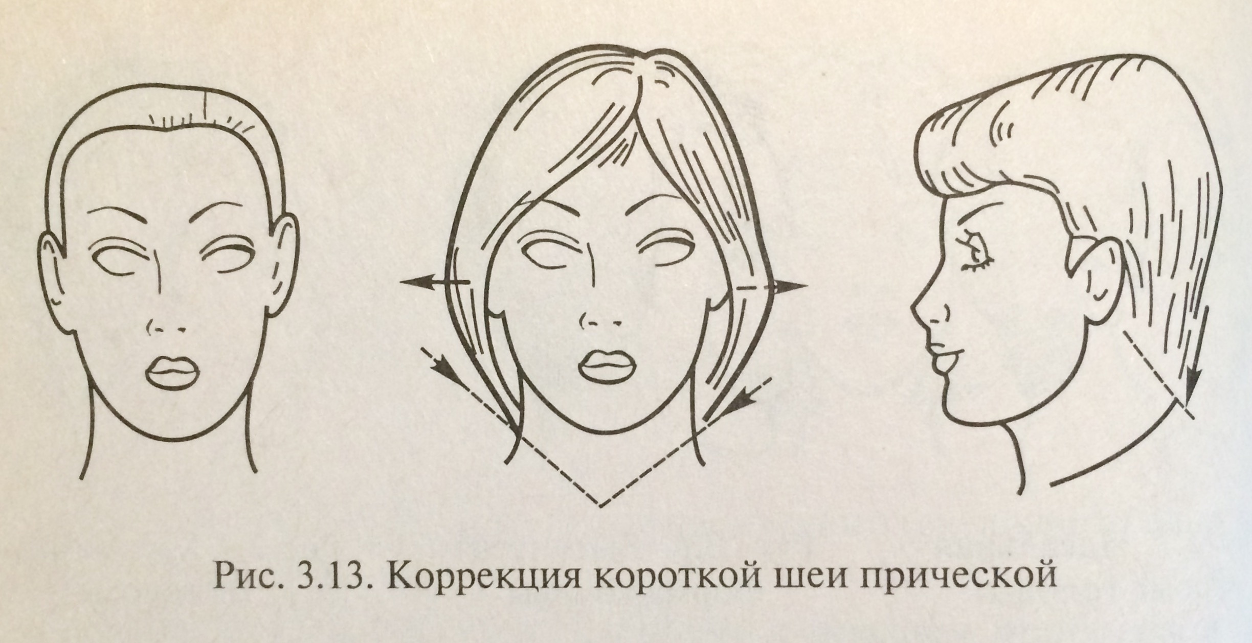 Коррекция формы головы. Коррекция фигуры и частей лица. Типы волос - student2.ru