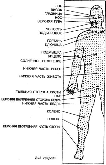функциональные положения тела - student2.ru
