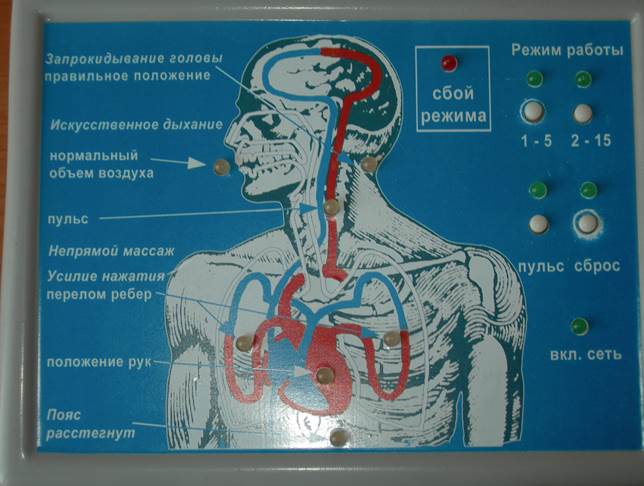 Лабораторная работа «Сердечно-легочная реанимация» - student2.ru