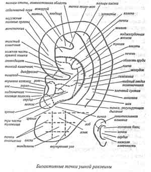 Массаж биологических точек лица и головы - student2.ru