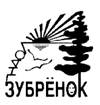 методика организации и проведения огоньков - student2.ru