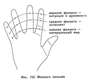 мизинец, безымянный, средний и указательный пальцы - student2.ru