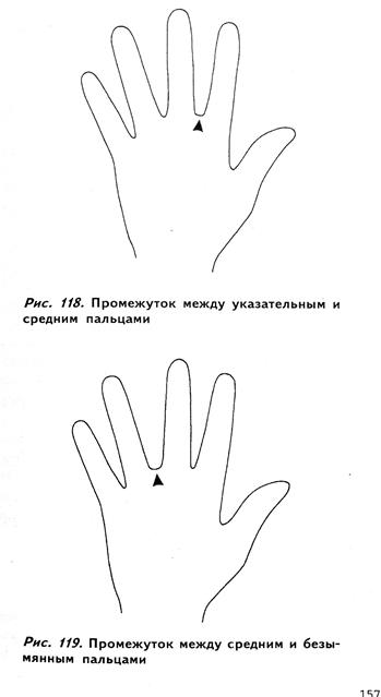 мизинец, безымянный, средний и указательный пальцы - student2.ru