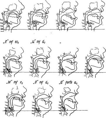 Научные данные о положении гортани во время пения - student2.ru