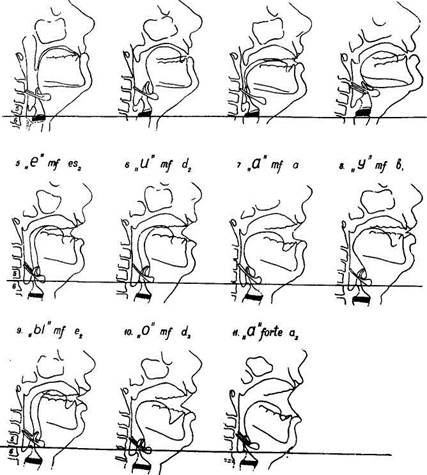 Научные данные о положении гортани во время пения - student2.ru
