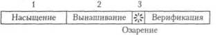 Новый взгляд на искусство видения - student2.ru