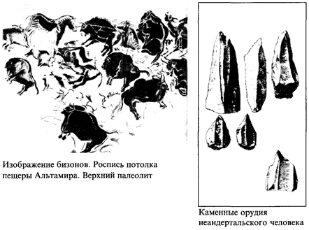 Общая характеристика первобытности - student2.ru