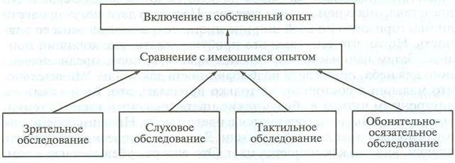 Обследование предметов и объектов окружающей действительности детьми дошкольного возраста - student2.ru