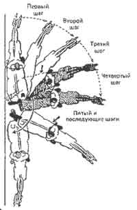 Посылы на движение с места. Остановка. Шаг и рысь - student2.ru