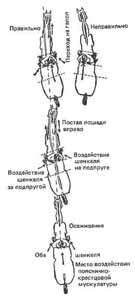 повороты на задних ногах - student2.ru