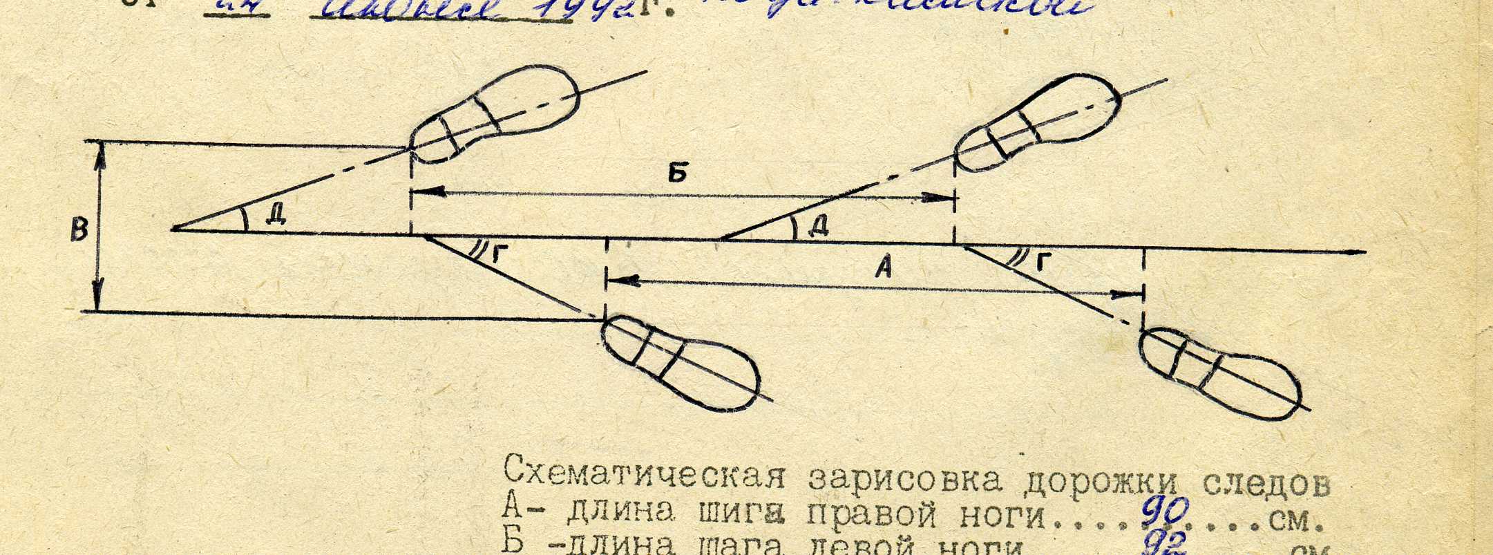 протокол осмотра места происшествия - student2.ru