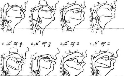 Рентгенологические наблюдения за артикуляцией у певцов - student2.ru